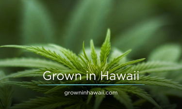 GrowninHawaii.com - Creative brandable domain for sale